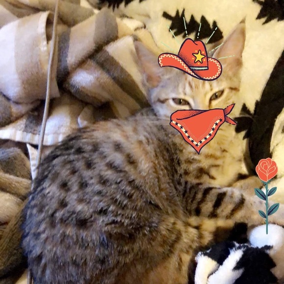 shop information / meet the seller - Picture 2 of 3